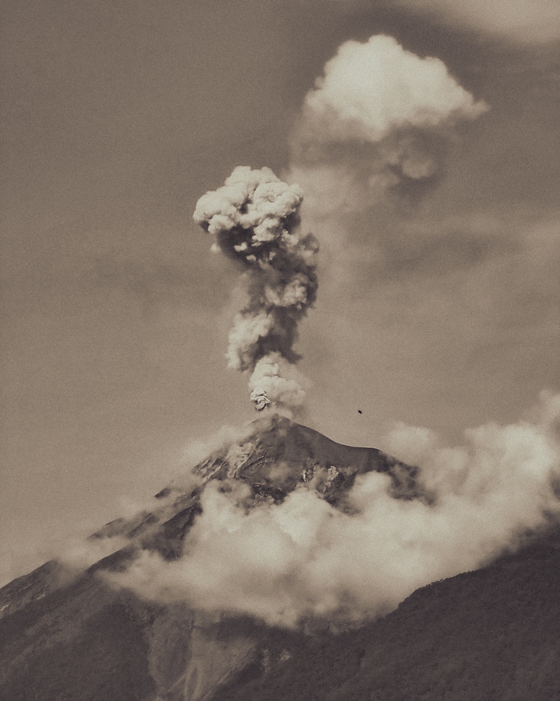 Charlie Orellana — visual storytelling, culture and nature