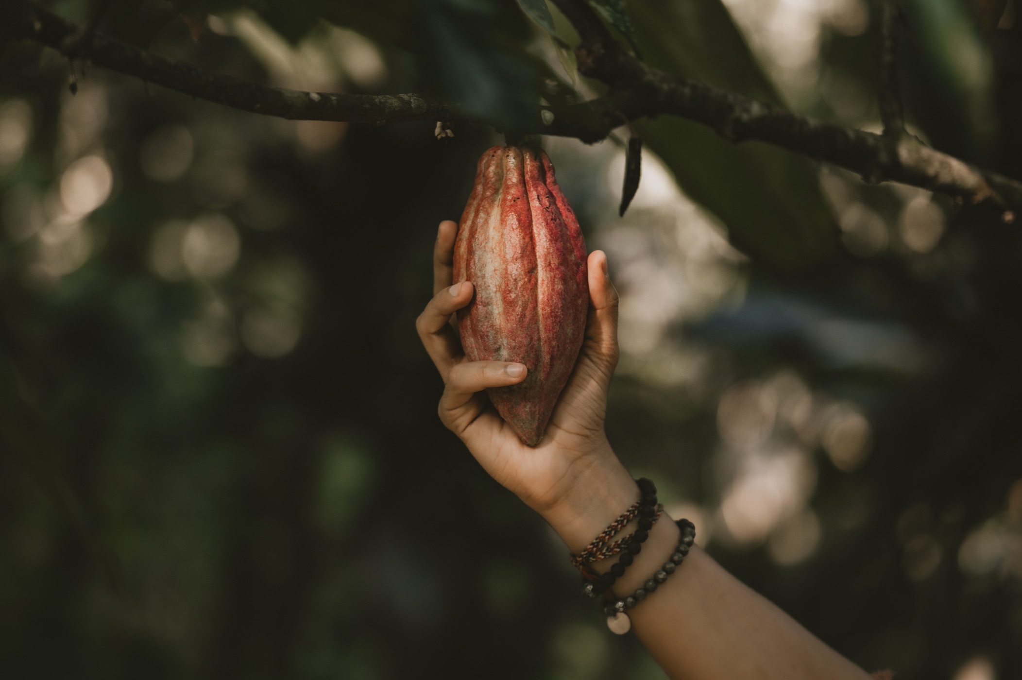 Guatemala culture and landscape photography by Charlie Orellana